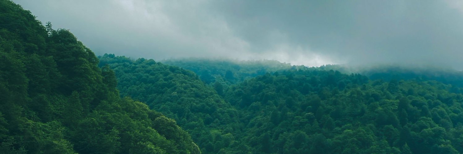 shn_cn's profile banner image
