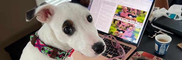 TheExitRover Profile Banner