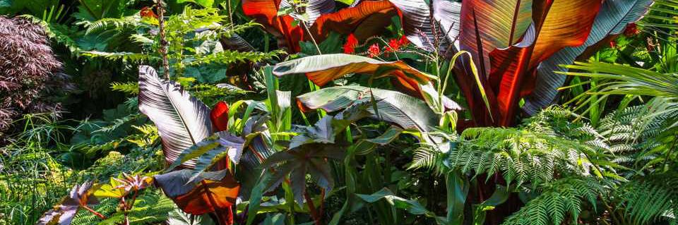 gardengb's profile banner image