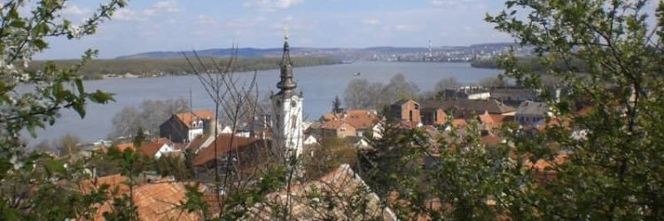 Niké Wentholt banner