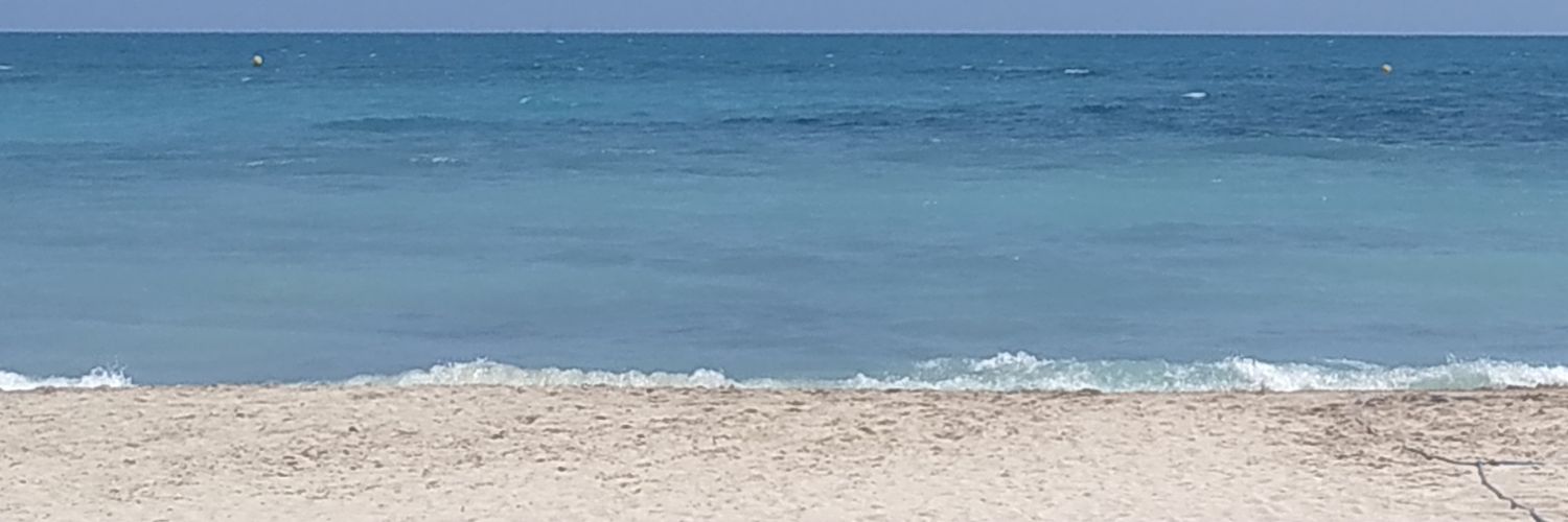 gemirizos's profile banner image