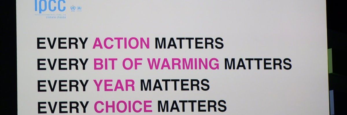Iina Soininen banner