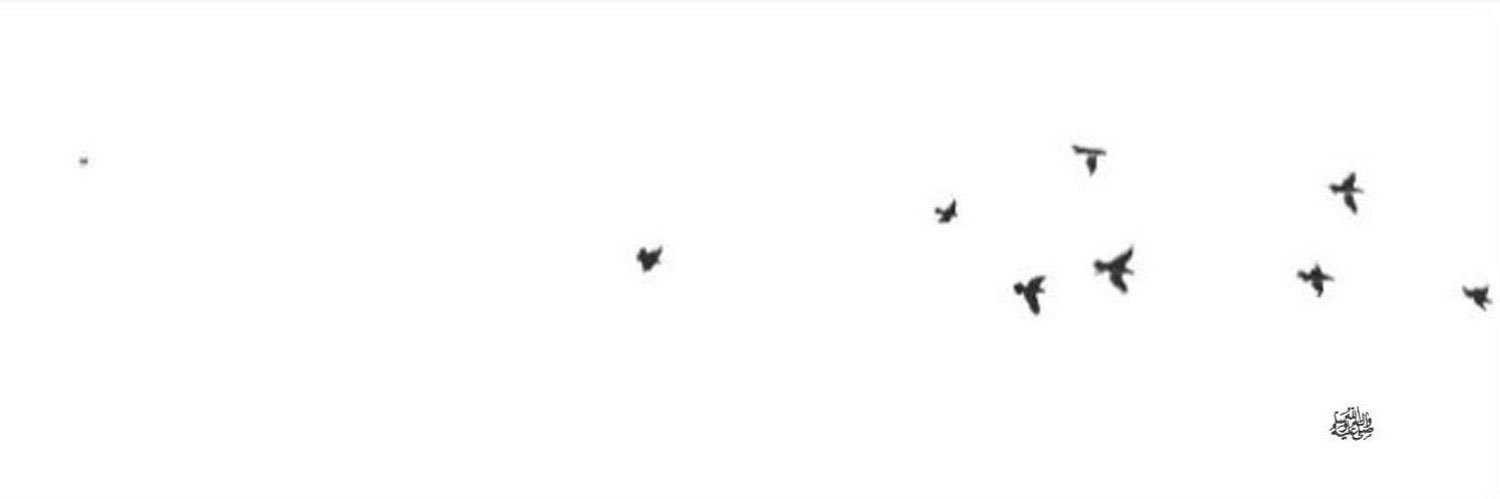 ri7ix's profile banner image