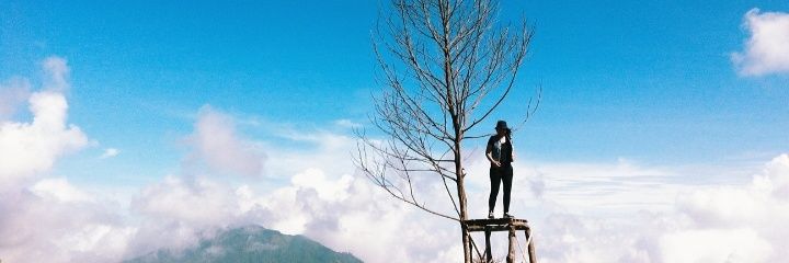 ririsning's profile banner image