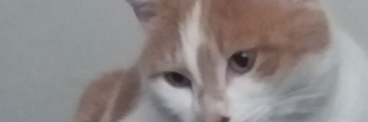 mossvale's profile banner image