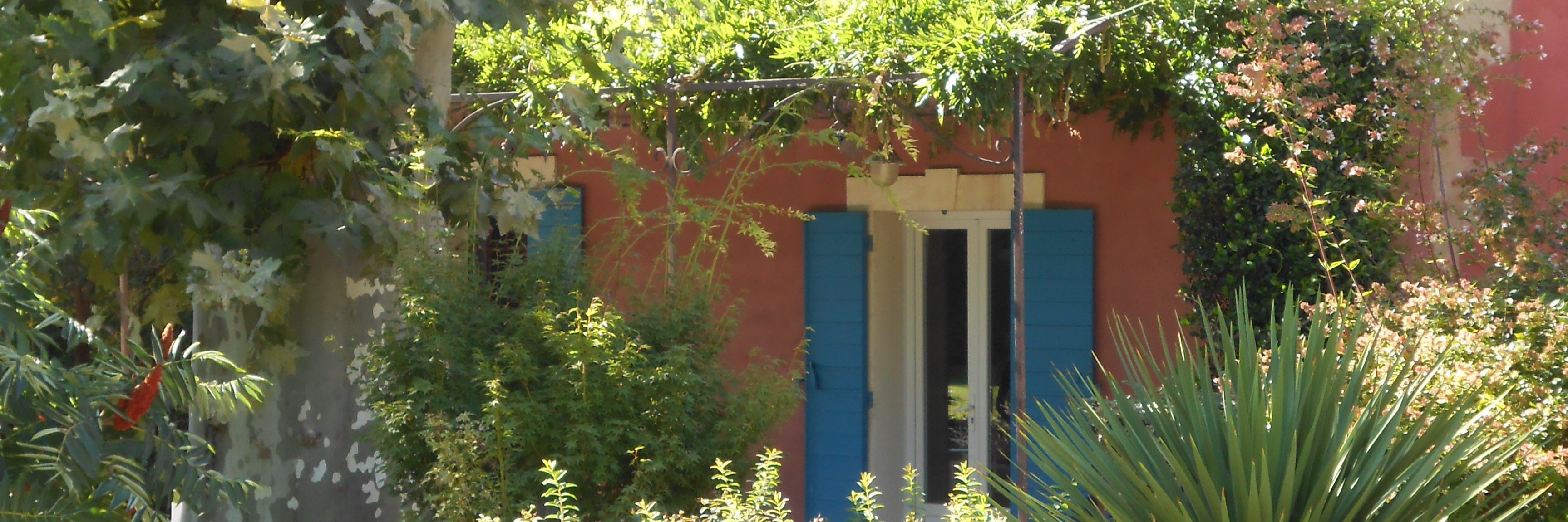 christine brambilla banner