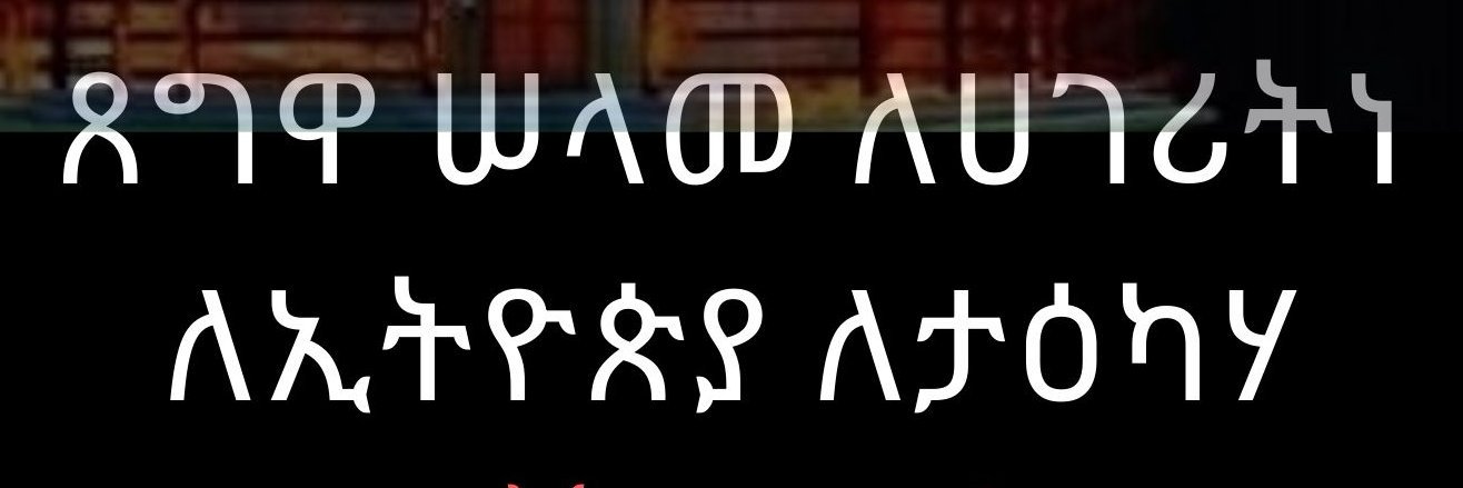 ermittigo's profile banner image