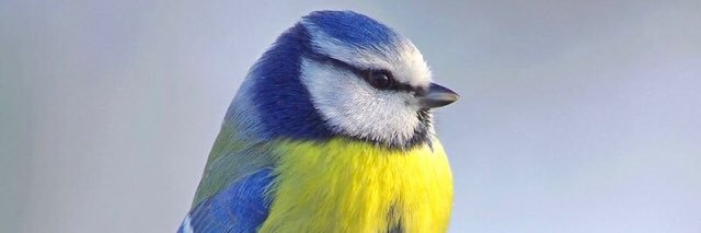 mpbigot's profile banner image