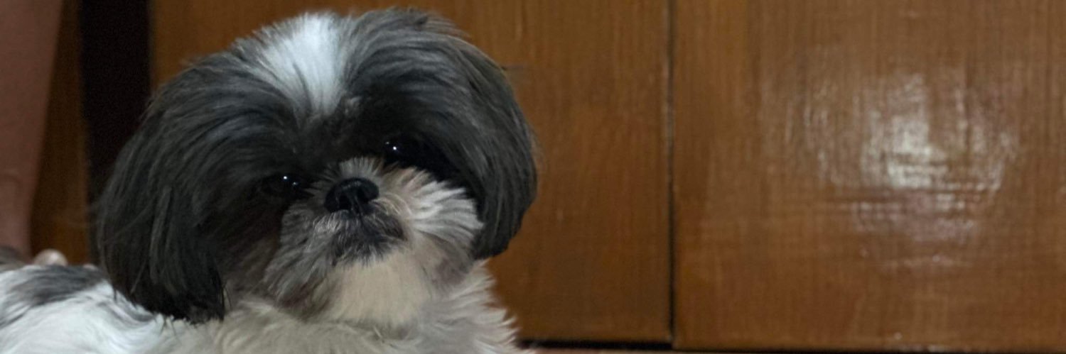 gleababes's profile banner image