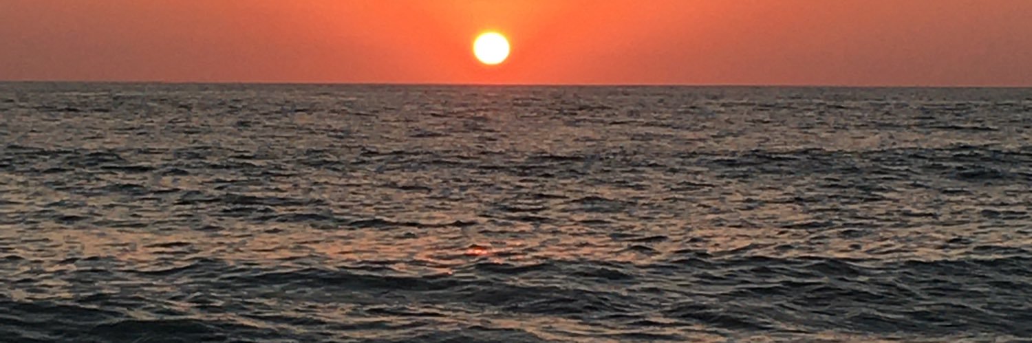 Romain Lafitte banner