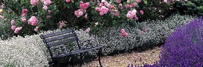 Angharad13's profile banner image