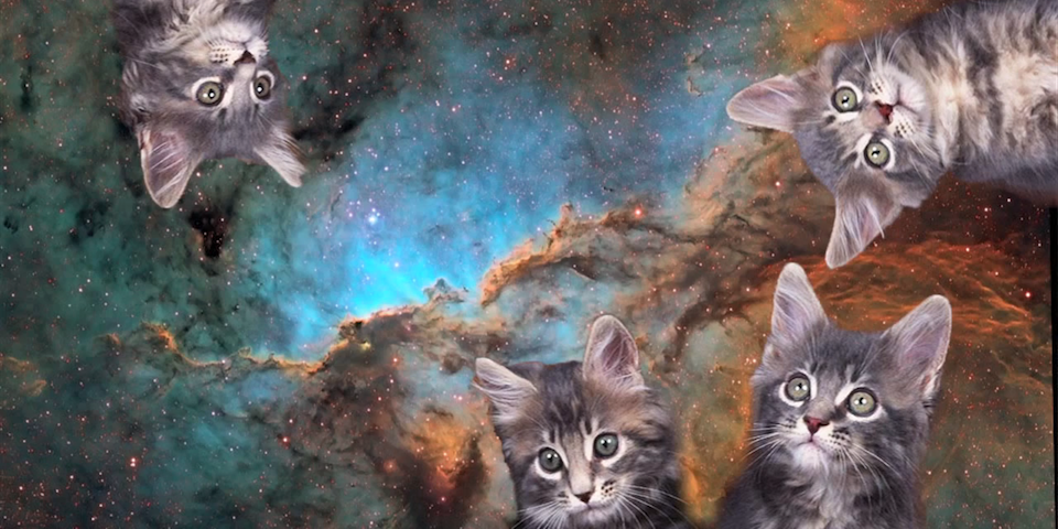 Sanderteatree's profile banner image