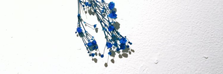 music_illust's profile banner image