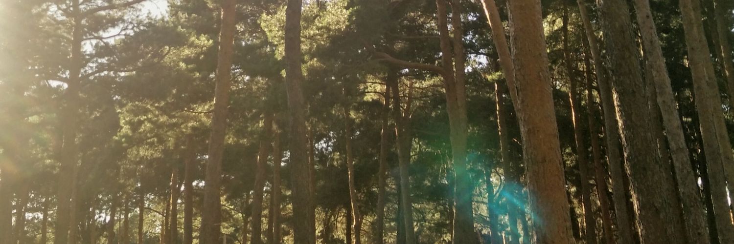 DanielBamer's profile banner image