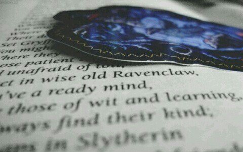 TayciBear's profile banner image