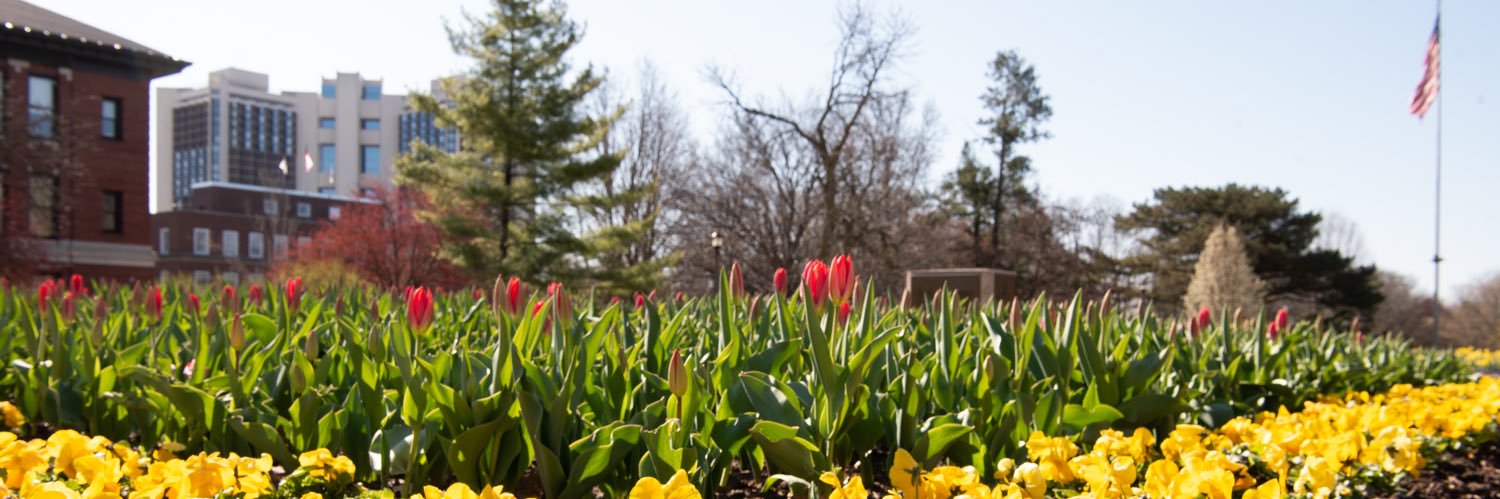 Illinois State banner