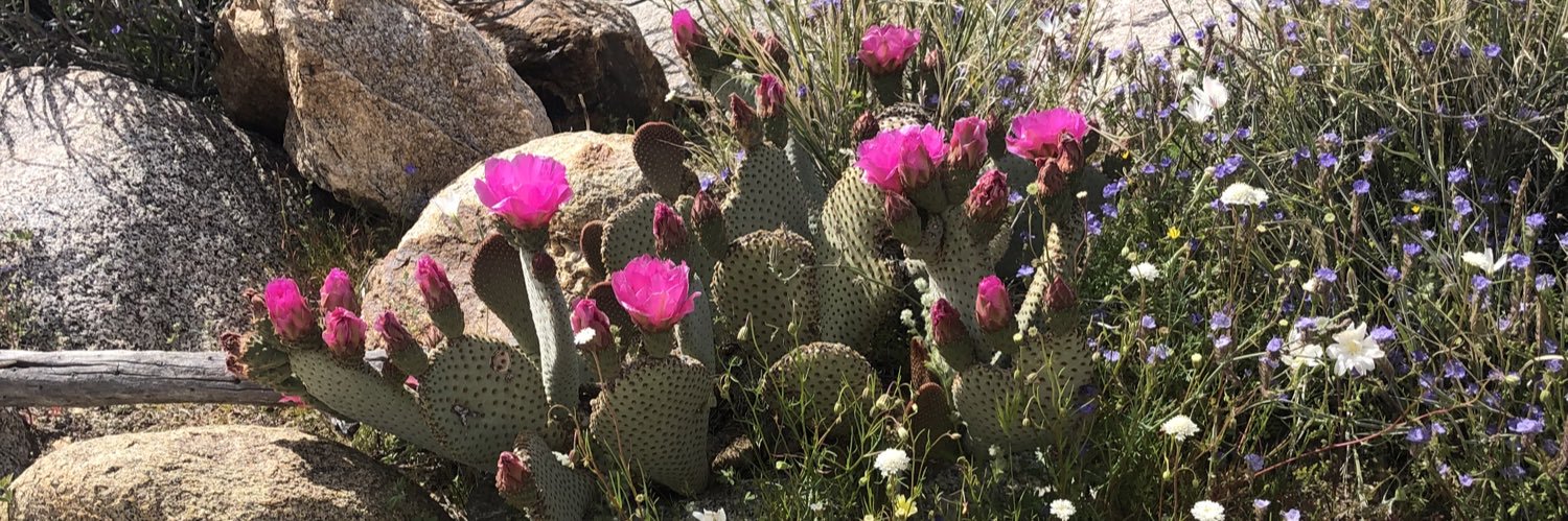 Georgette Gómez🏳️‍🌈 banner