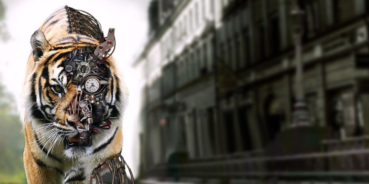 GonzaloSoret's profile banner image