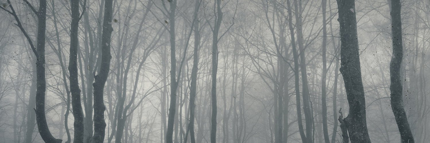 shane_jae's profile banner image