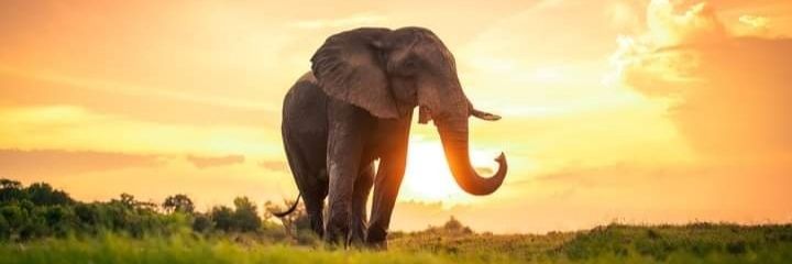 Patrickkilenga's profile banner image