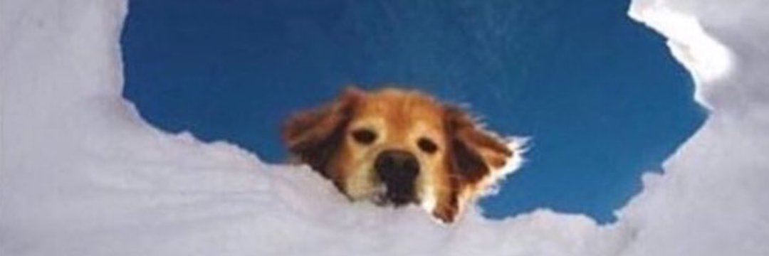 Lorena_R_97's profile banner image
