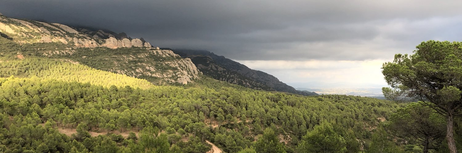 Mashalfi's profile banner image