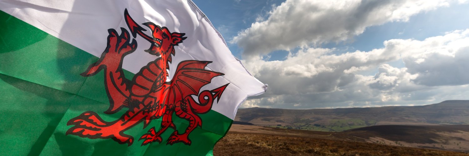 Welsh Government banner
