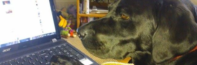 Wiggooo's profile banner image