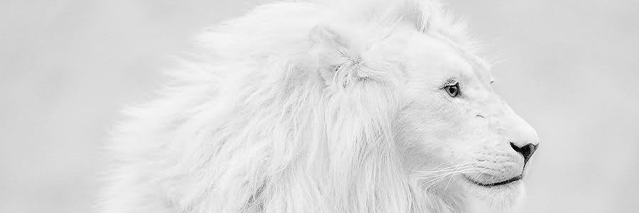 VOYNATA7's profile banner image