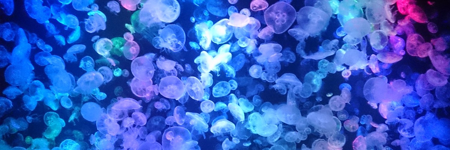 PetitKy's profile banner image