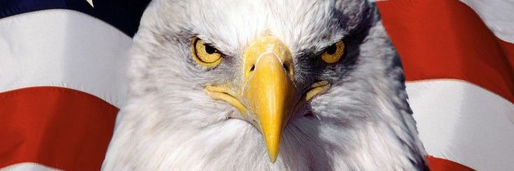 _Stars_Stripes_'s profile banner image