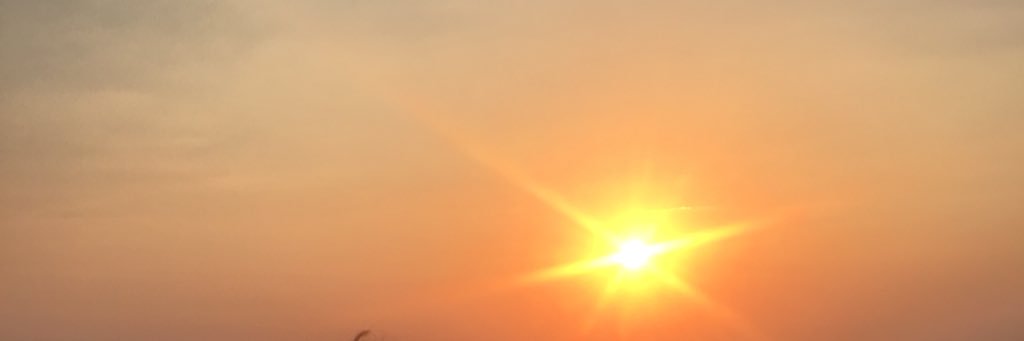 daniladele's profile banner image
