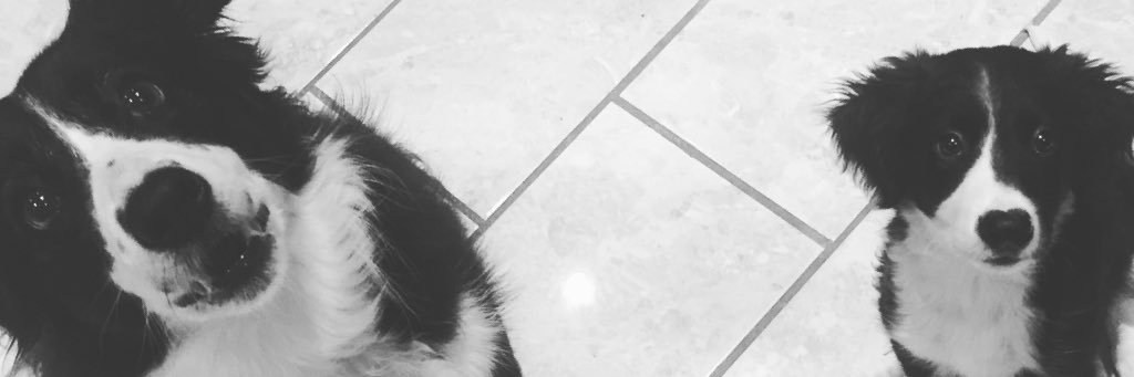 JJP2994's profile banner image