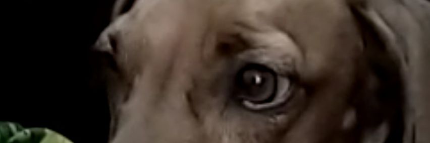 PHRVEIGA's profile banner image