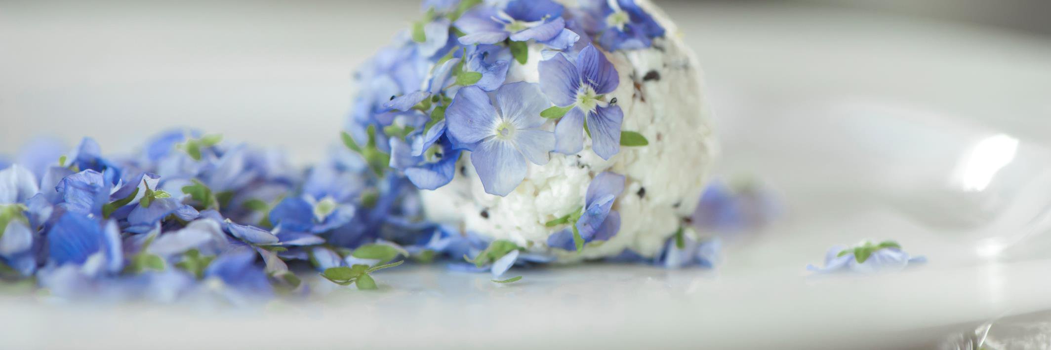 edible_ch's profile banner image