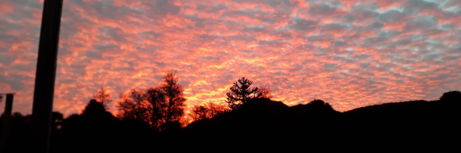 gisel_tauson's profile banner image