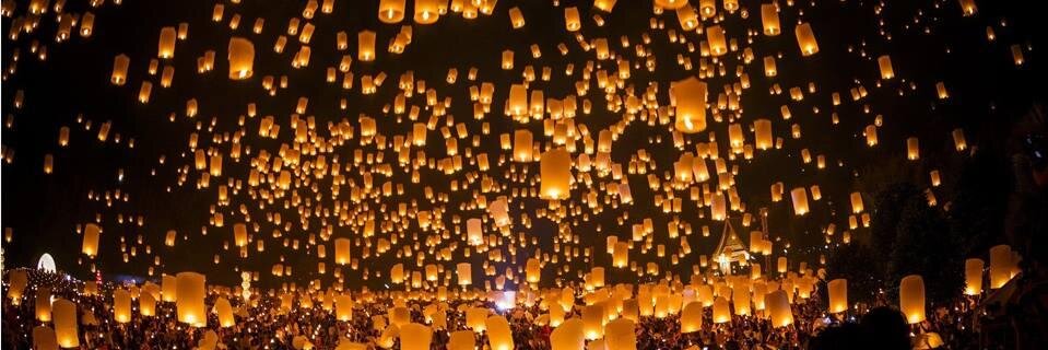 Coding and Cats banner