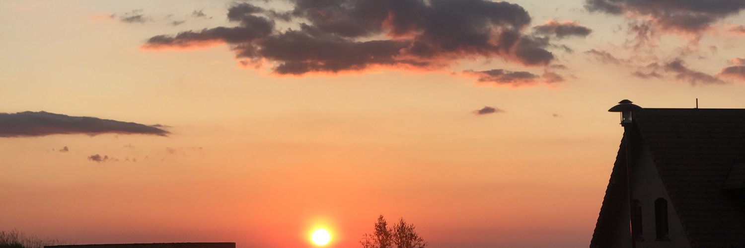 Meline_f's profile banner image