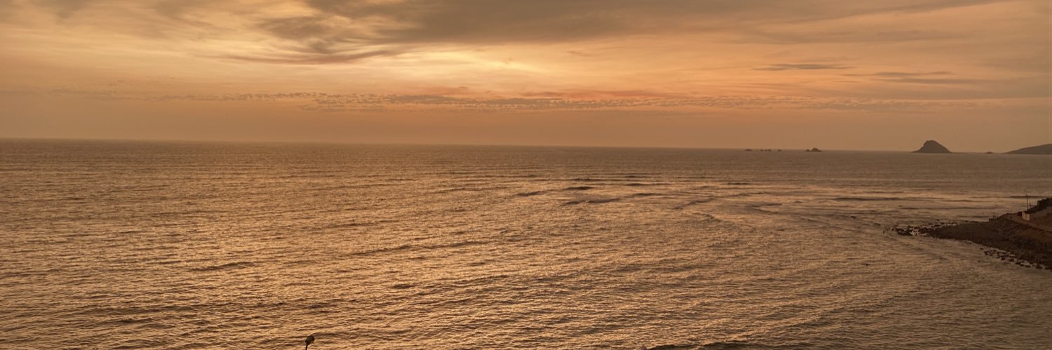 mechevar97's profile banner image