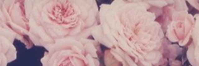 LonnyD_'s profile banner image