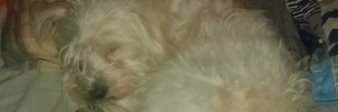 joacohyperx's profile banner image