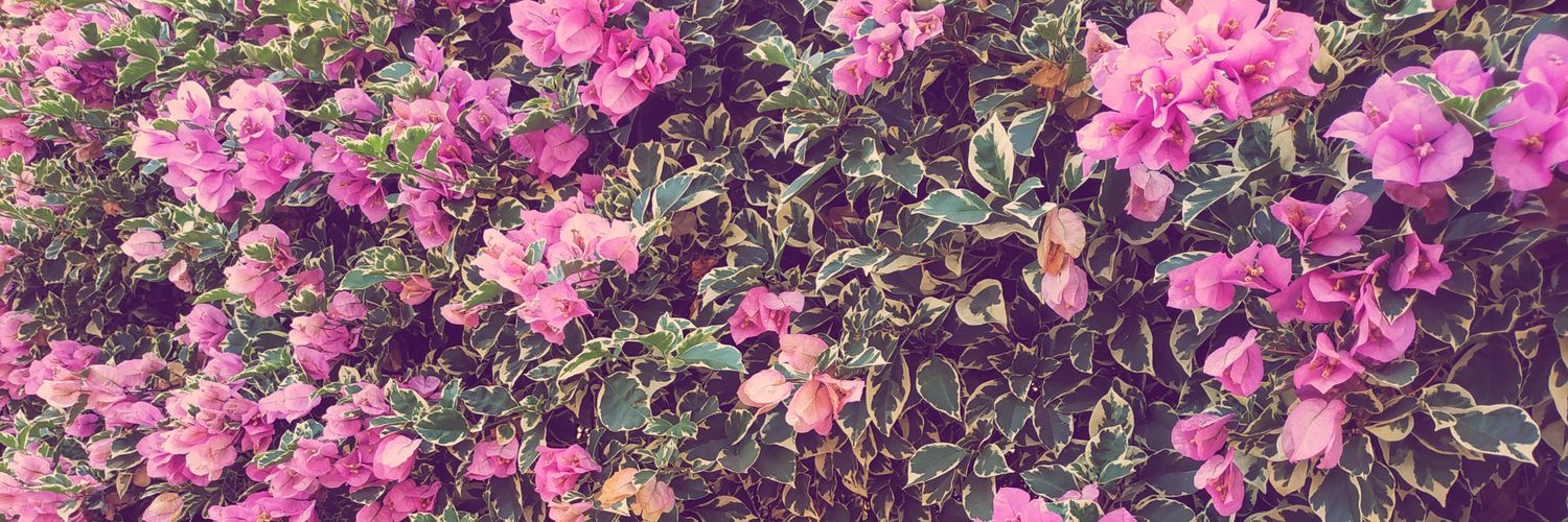 ceriskaaa's profile banner image