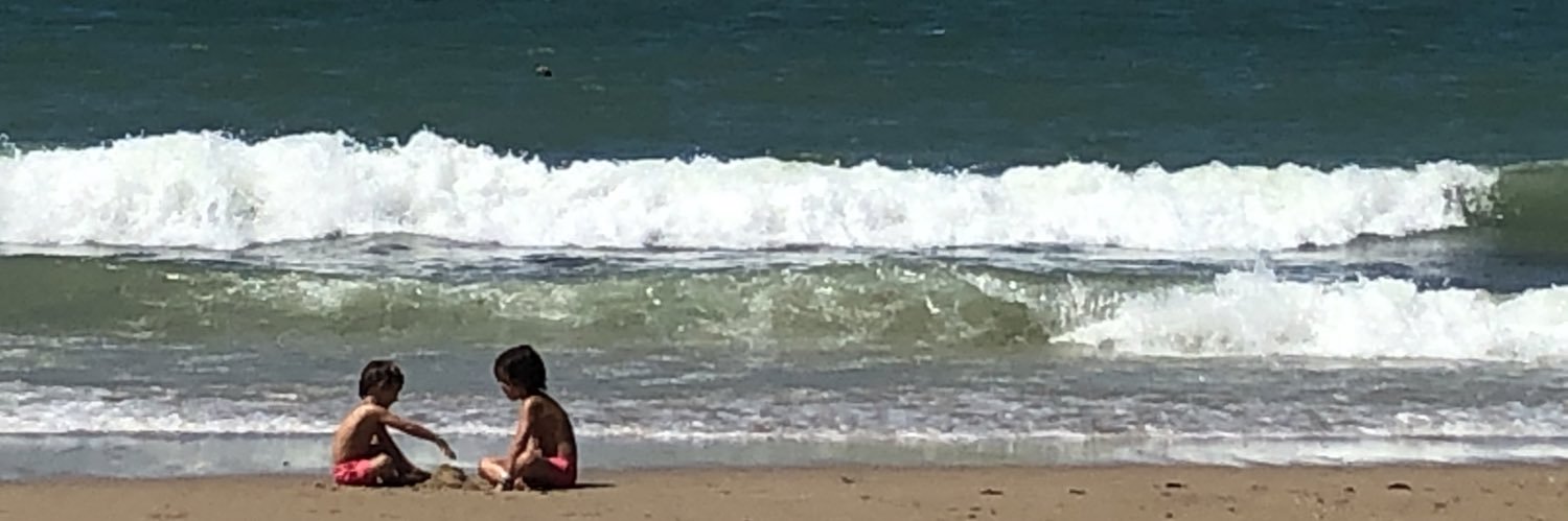 Alberto Fernández banner