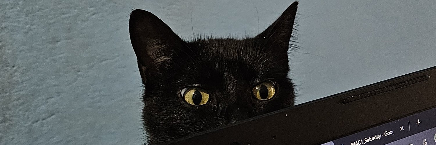 pappillon_yeux's profile banner image
