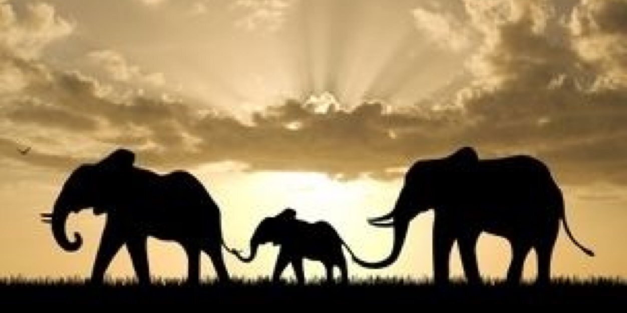 JanellyCapilla's profile banner image