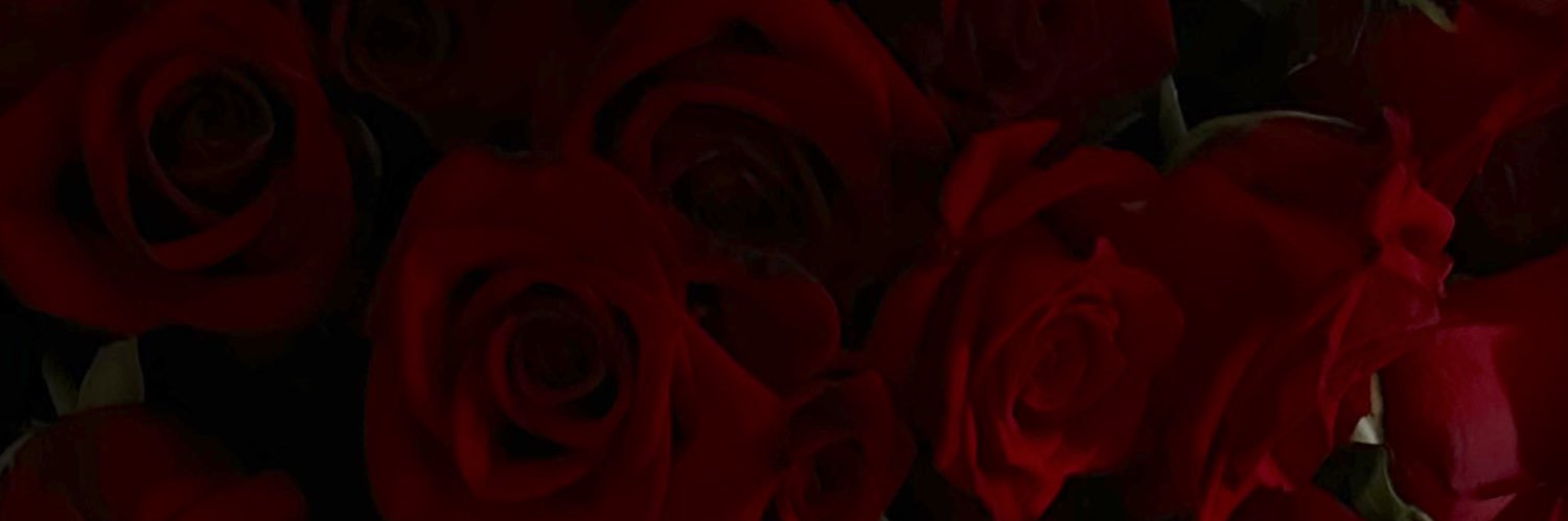 BeritAdelaide's profile banner image