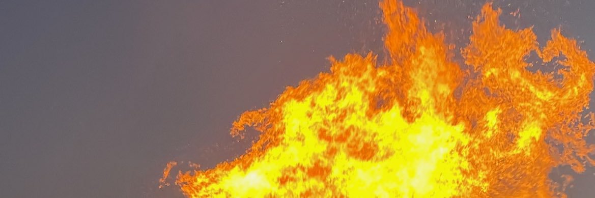 Luis Wandell draws banner