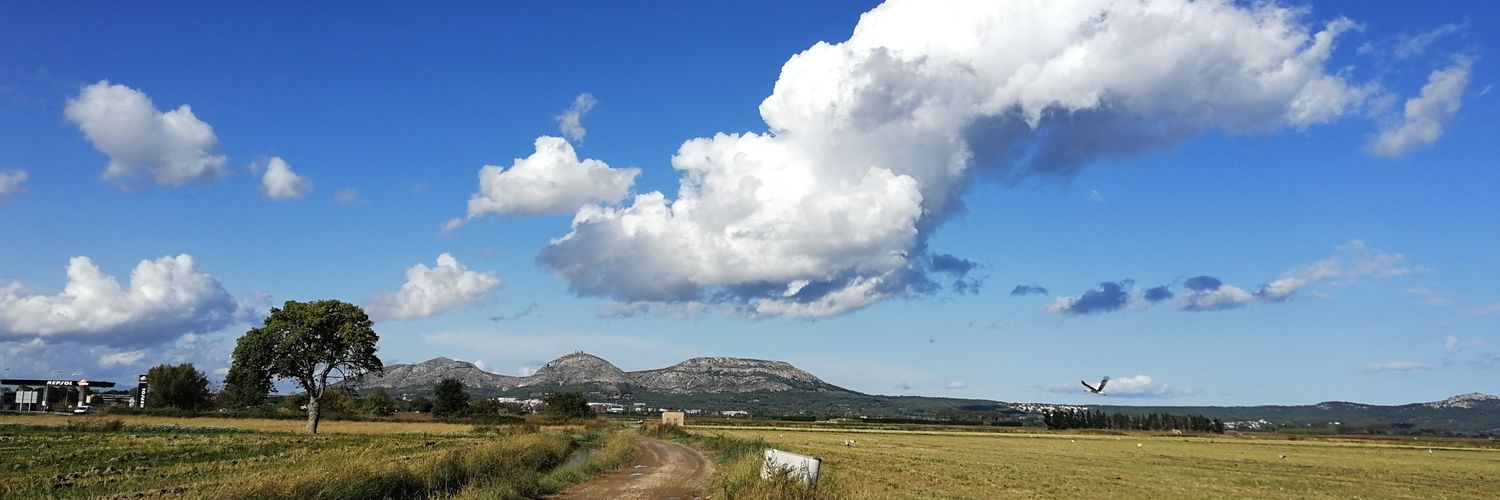 Pere Colomer-Vidal banner