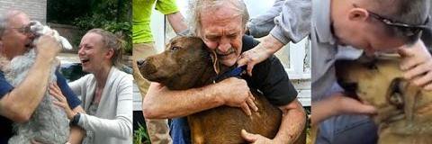 Found_Lost_Pets's profile banner image
