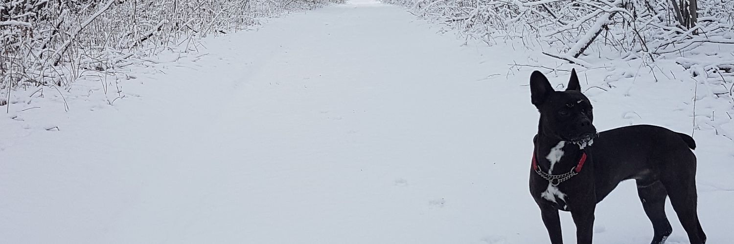 jonnytsports's profile banner image